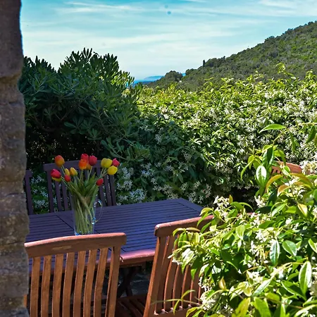 Holiday home Le Mandrie By Interhome *